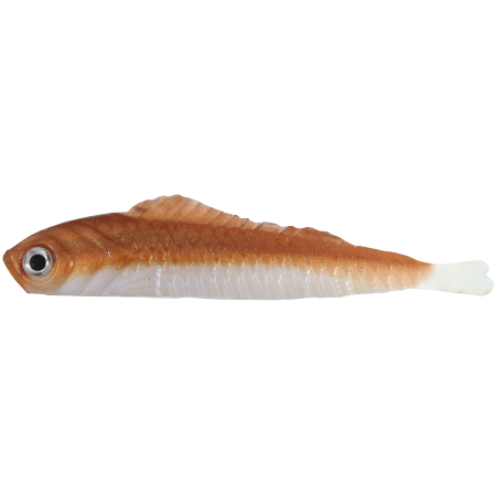 Drop-Shot Lucky Shad 6cm Rame