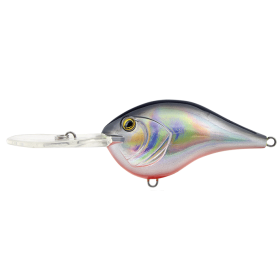 Wobler Reaper 70F Barriga Roja