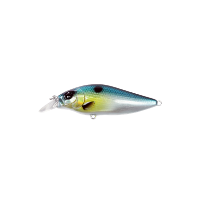 Shallow Shad 80mm Slow Sinking