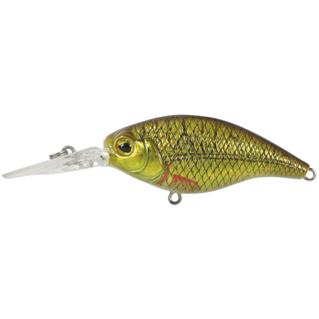Wobbler Fat Crank DR 65F Holo Tench