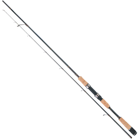 Pointe Vectron Zander XV 227/28