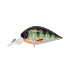 Baby Crank 35mm F Kolor 03 Pale Perch