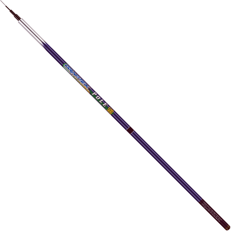 Grafitex Pole 300/20 Fishing Rod