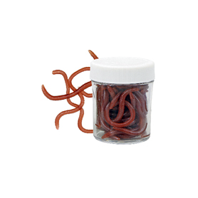 New Style Hanging Red Worm Upper Bait Device Rubber Band Earthworm