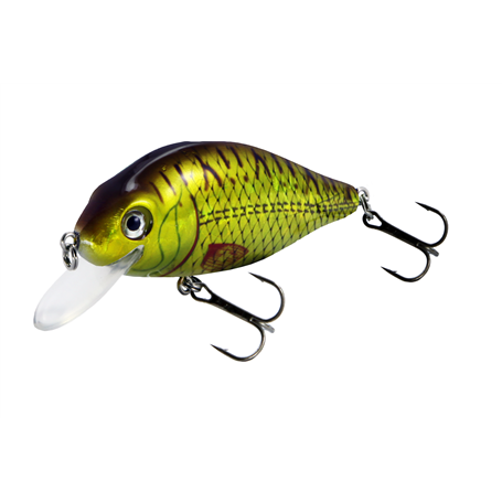 Flat Crank 70F Holo Rudd