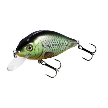 Flat Crank 70F Holo Tench