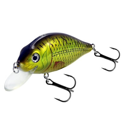 Flat Crank 90F Holo Rudd