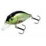 Flat Crank 90F Holo Tench