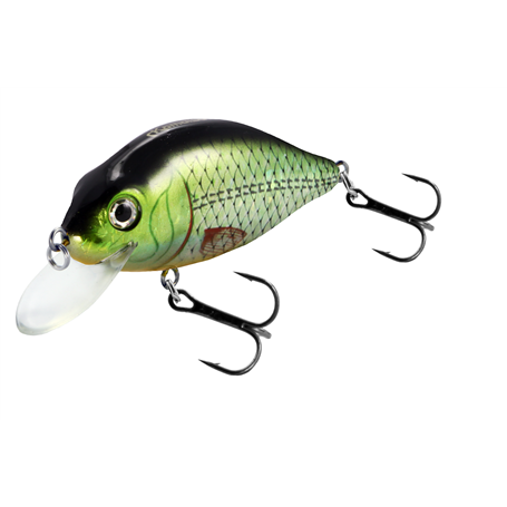 Flat Crank 90F Holo Tench