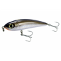 Glider Stick 160S Silver Shiner