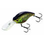 Fat Crank DR 65F Holo Tench