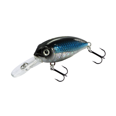 Super Crank 40F Shiner