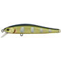 Sneaky Minnow 70N Biwa Trout