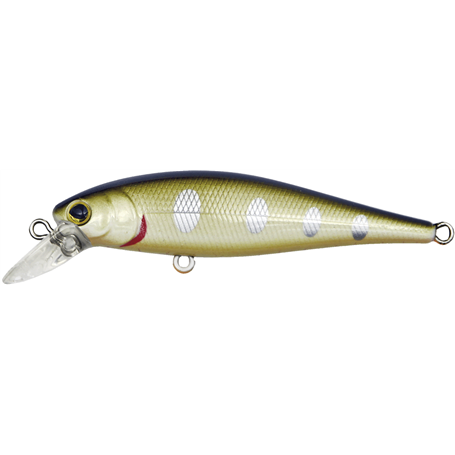 Driftin' Shad 65N Biwa Trout