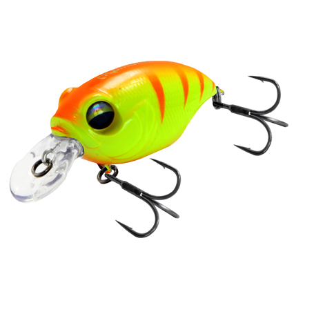 Crazy Crank 40F Night Stalker