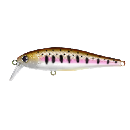 Shallow Minnow 65S Satsukimasu Salmon