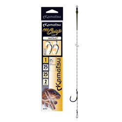 Pro Carp Matsui 1