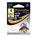 50cm Carp Koiso 2