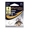 50cm Carp Koiso 4