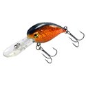 Chubby Crank DR 40F Golden Nugget