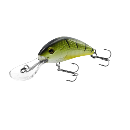 Shaky Shad 50F Perch