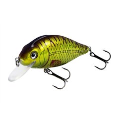 Flat Crank 70F Holo Rudd