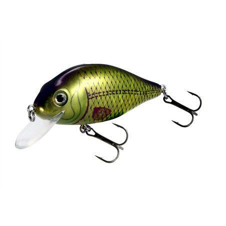 Flat Crank 70F Blleding Roach