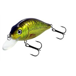 Flat Crank 90F Holo Rudd
