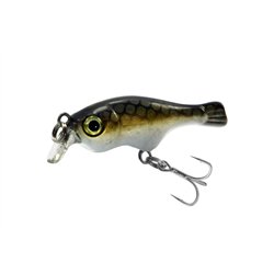 Seek Fish 35F Golden Stripe