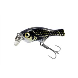 Seek Fish 35F Darth Crucian