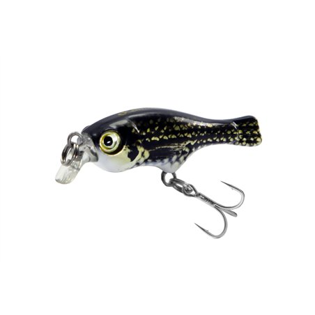 Seek Fish 35F Darth Crucian