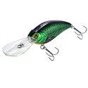 Fat Crank DR 80F Holo Rudd