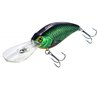 Fat Crank DR 80F Holo Rudd