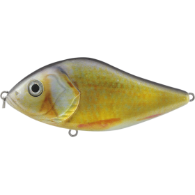 Glider 70S Roach