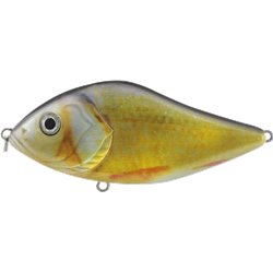 Glider 100S Roach