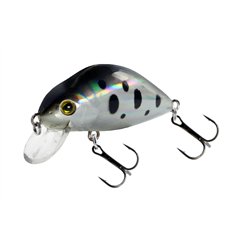 Cranker 50F Black Hole