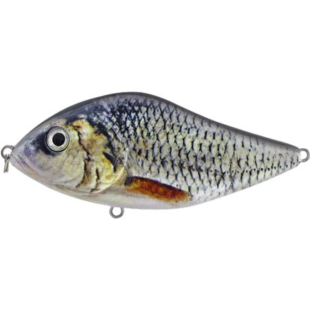Slow Glider 70SS Silver Roach
