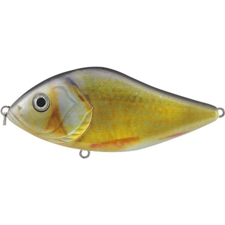 Slow Glider 70SS Roach