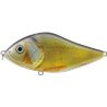 Slow Glider 70SS Roach