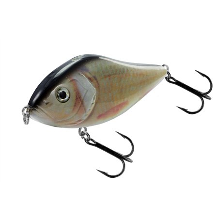 Slow Glider 100SS Roach