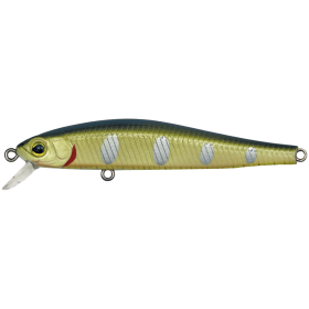 Sneaky Minnow 50S Biwa Trout