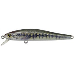 Sneaky Minnow 50S Little Largemouth
