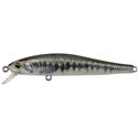 Sneaky Minnow 70N Little Largemouth