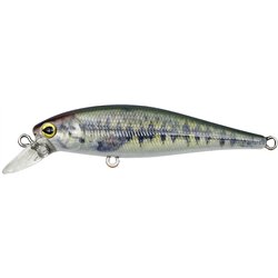 Driftin' Shad 65N Little Largemouth