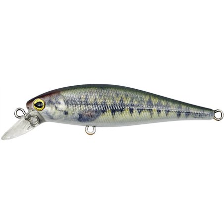 Driftin' Shad 65N Little Largemouth