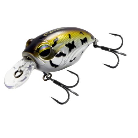 Crazy Crank 40F Nasty Frog