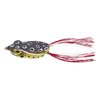 Hollow Frog 55F Brownie