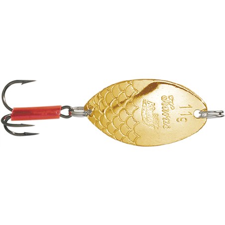 Karaś  Gold