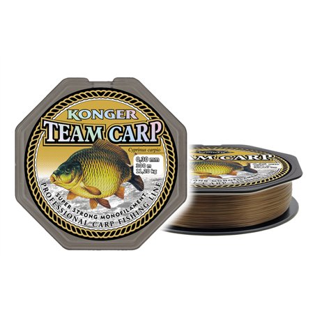 Team Carp 0,40mm/250m