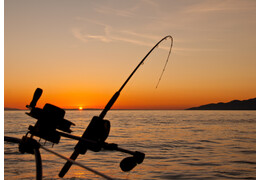 Kiedy zaczyna się sezon wędkarski 2026?